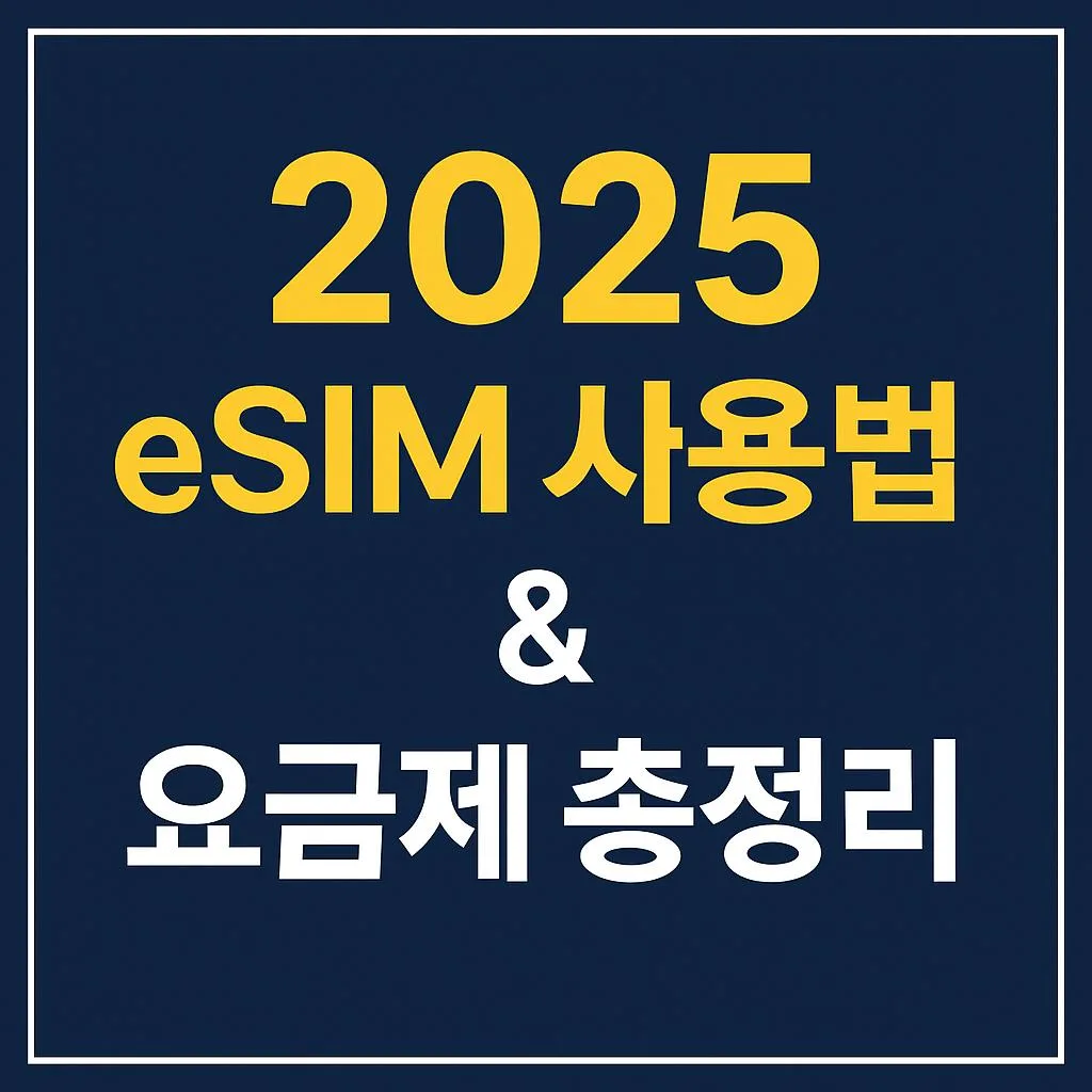 썸네일(eSIM 사용법 및 추천 요금제 총정리)