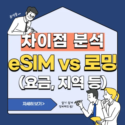 썸네일(이심 vs 로밍 비교)